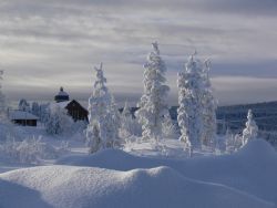 Winter2020.jpg